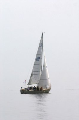 Louisa Gould - Around the Island Race