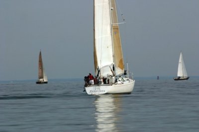 Louisa Gould - Around the Island Race