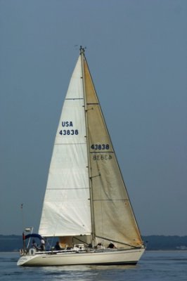 Louisa Gould - Around the Island Race