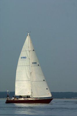 Louisa Gould - Around the Island Race