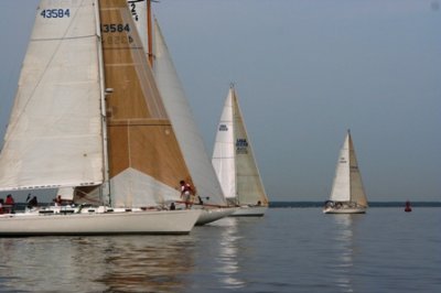 Louisa Gould - Around the Island Race