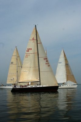 Louisa Gould - Around the Island Race