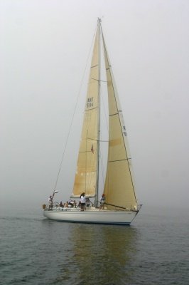 Louisa Gould - Around the Island Race