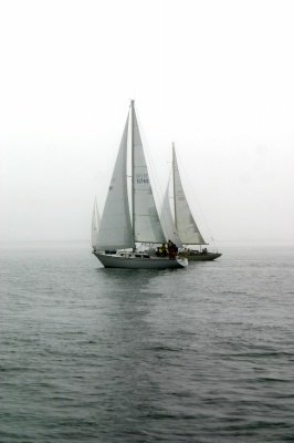 Louisa Gould - Around the Island Race