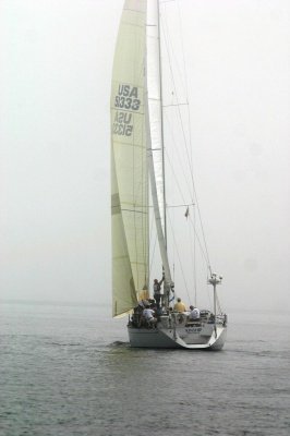 Louisa Gould - Around the Island Race