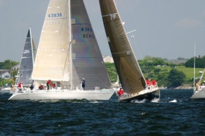 Louisa Gould - Newport-Bermuda