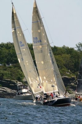 Louisa Gould - Newport-Bermuda