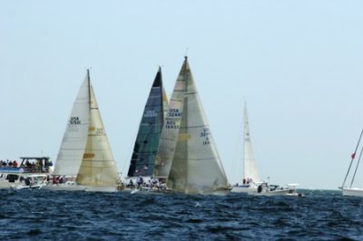 Louisa Gould - Newport-Bermuda