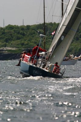 Louisa Gould - Newport-Bermuda