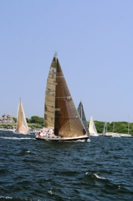 Louisa Gould - Newport-Bermuda