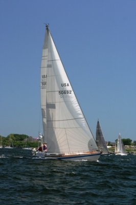 Louisa Gould - Newport-Bermuda