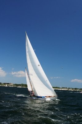 Louisa Gould - Newport-Bermuda