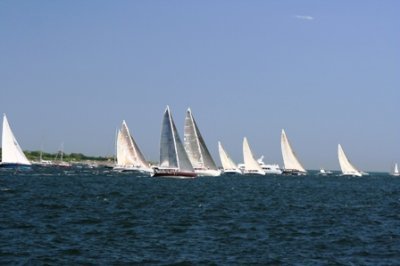 Louisa Gould - Newport-Bermuda