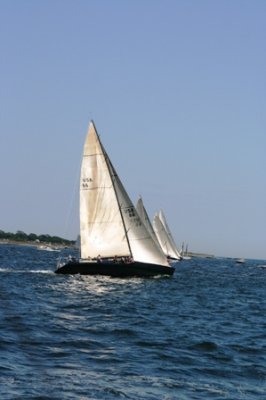 Louisa Gould - Newport-Bermuda