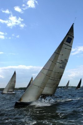 Louisa Gould - Newport-Bermuda