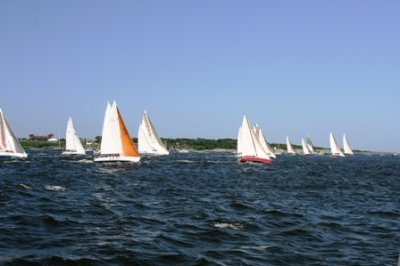 Louisa Gould - Newport-Bermuda