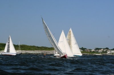 Louisa Gould - Newport-Bermuda