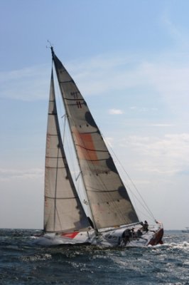 Louisa Gould - Newport-Bermuda