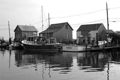 Louisa Gould - Fishing Village of Menemsha
