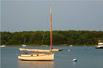 Louisa Gould - Cat Boat