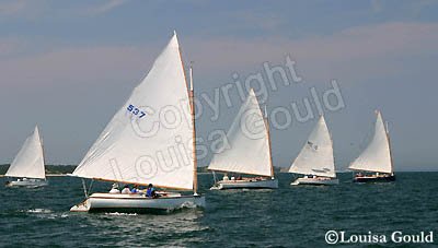 Louisa Gould - Cat Boat Race