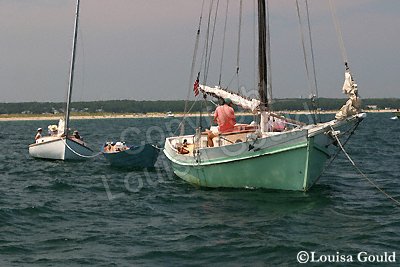 Louisa Gould - Cat Boat Race