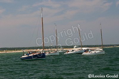 Louisa Gould - Cat Boat Race