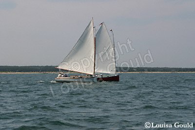 Louisa Gould - Cat Boat Race