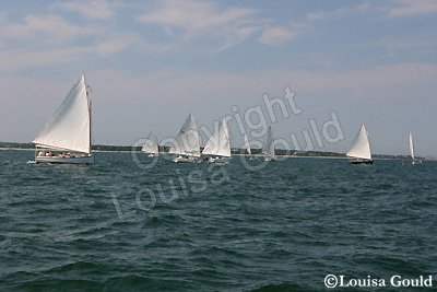 Louisa Gould - Cat Boat Race