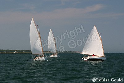 Louisa Gould - Cat Boat Race