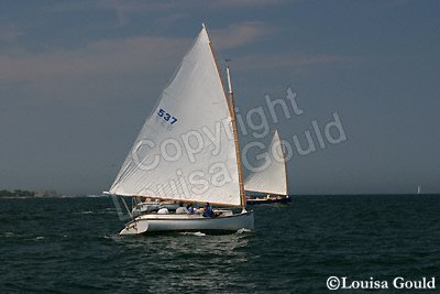 Louisa Gould - Cat Boat Race