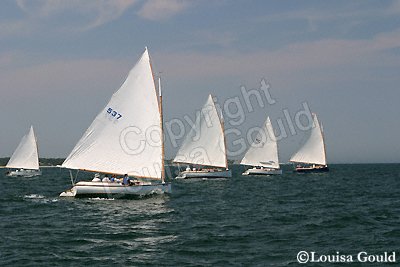 Louisa Gould - Cat Boat Race