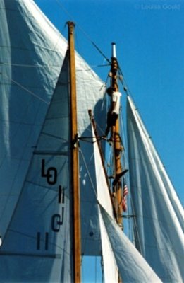 Louisa Gould - MV Sailing