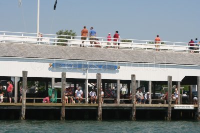 Louisa Gould - Edgartown Yacht Club Regatta 2007