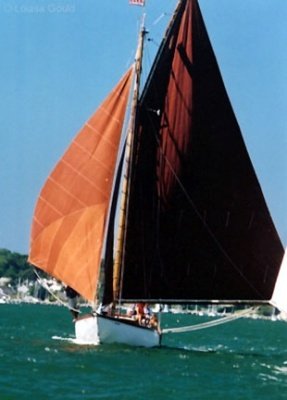 Louisa Gould - MV Sailing