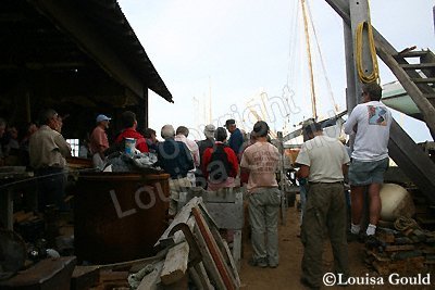 Louisa Gould - Moffett Race 2005