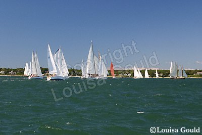 Louisa Gould - Moffett Race 2005