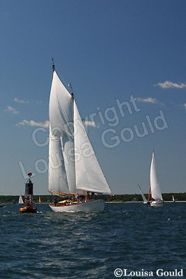 Louisa Gould - Moffett Race 2005