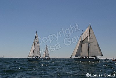 Louisa Gould - Moffett Race 2005