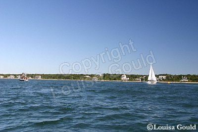 Louisa Gould - Moffett Race 2005