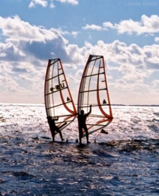 Louisa Gould - Windsurfing