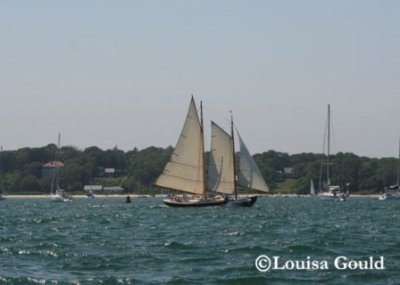 Louisa Gould - 150th Shipyard Regatta