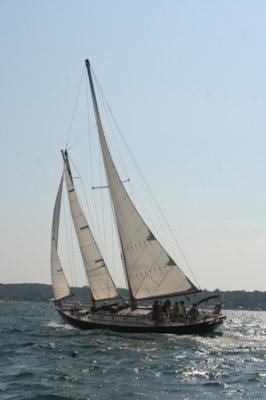 Louisa Gould - 150th Shipyard Regatta