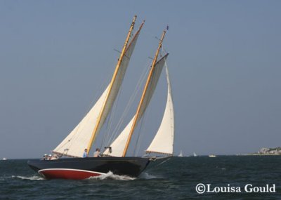 Louisa Gould - 150th Shipyard Regatta