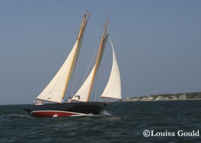 Louisa Gould - 150th Shipyard Regatta