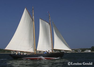 Louisa Gould - 150th Shipyard Regatta