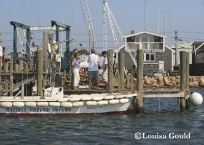 Louisa Gould - 150th Shipyard Regatta