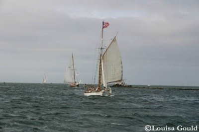 Louisa Gould - Opera House Cup