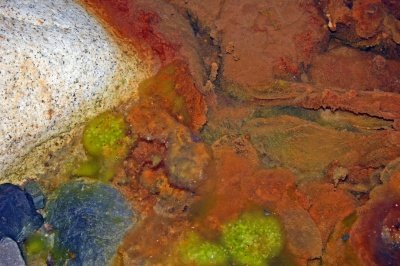 Louisa Gould - abstract