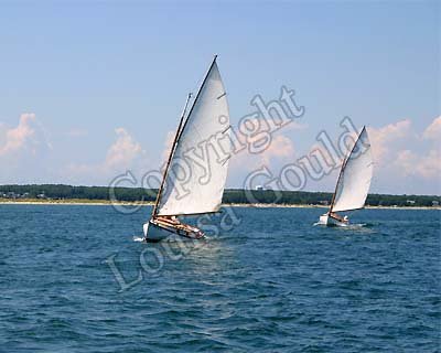 Louisa Gould - Two Catboats